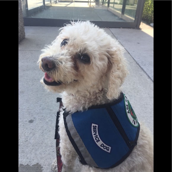 Meet your Posher, Shae - Picture 3 of 5